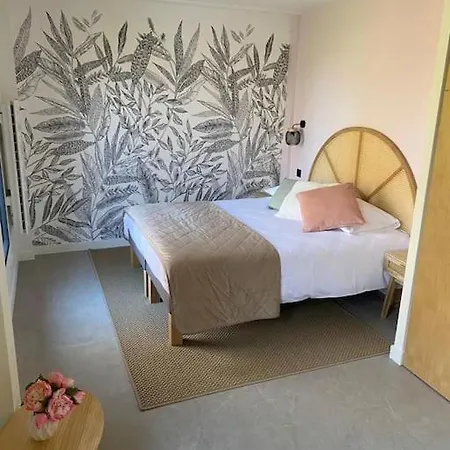 Magnifique Dans La Foret De Fontainebleau *