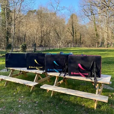Magnifique Dans La Foret De Fontainebleau